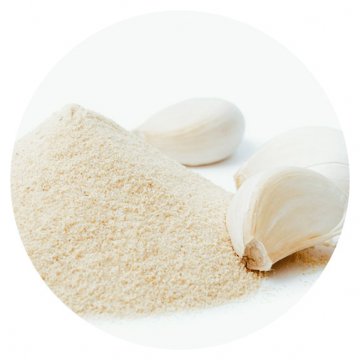 AGLIO IN POLVERE KG 1